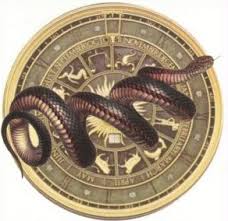 Kaal sarp dosh puja